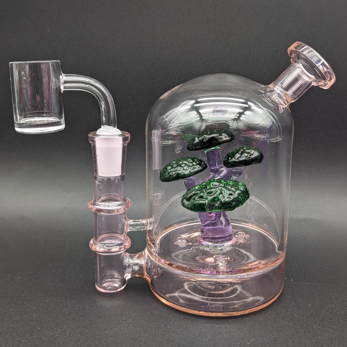 bonsai tree equipment Bonsai Tree Blooper Dab Rig – Avernic Smoke Shop