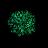 6mm Glow in the Dark Terp Pearls - Avernic Smoke Shop