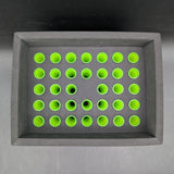 Buddies Bump Box  - King Size and 1 1/4