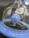 Phoenix 7" Hemisphere Showerhead Bong-Avernic Smoke Shop