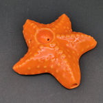 Wacky Bowlz Starfish Ceramic Pipe | 4"