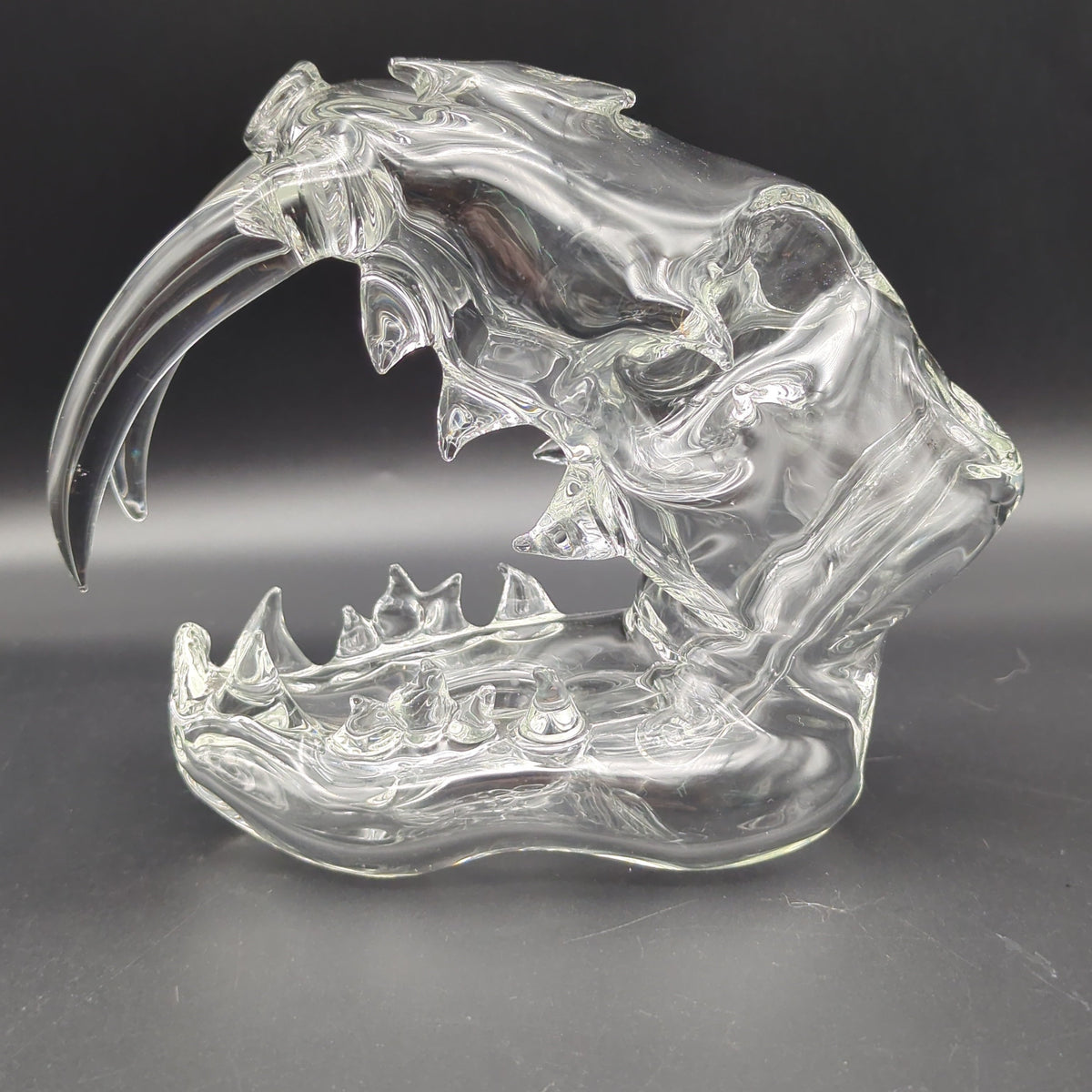 Clear Sabertooth Skull Sculpture Rig - by EKA Glass – Avernic Smoke Shop