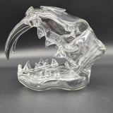 Clear Sabertooth Skull Sculpture Rig - by EKA Glass - Avernic Smoke Shop